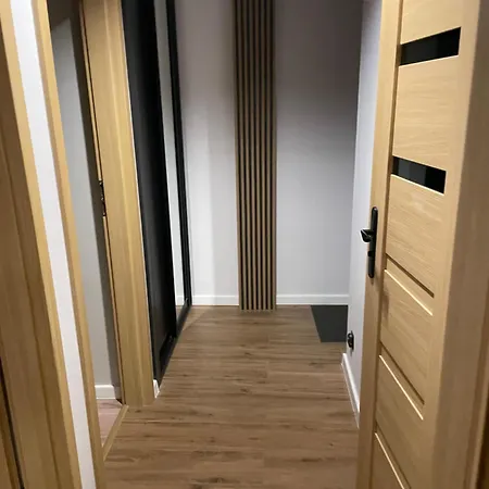 公寓 Przy Bloniach 2