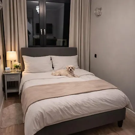 Przy Bloniach 2 شقة