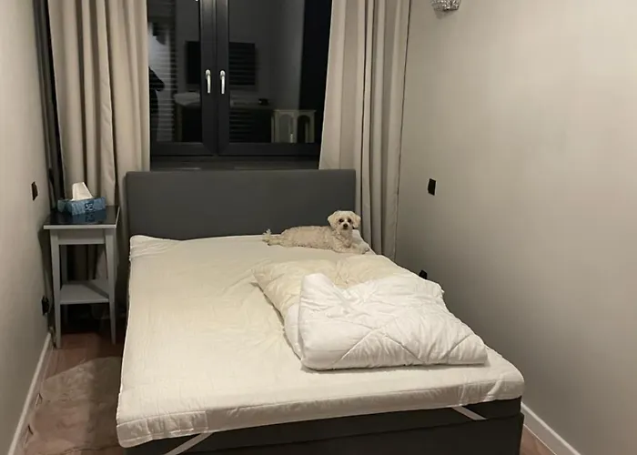 Przy Bloniach 2 Апартаменты