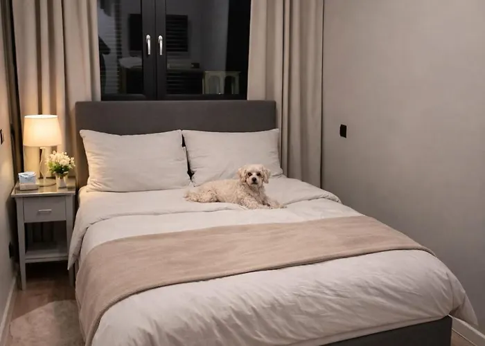 Przy Bloniach 2 Apartman